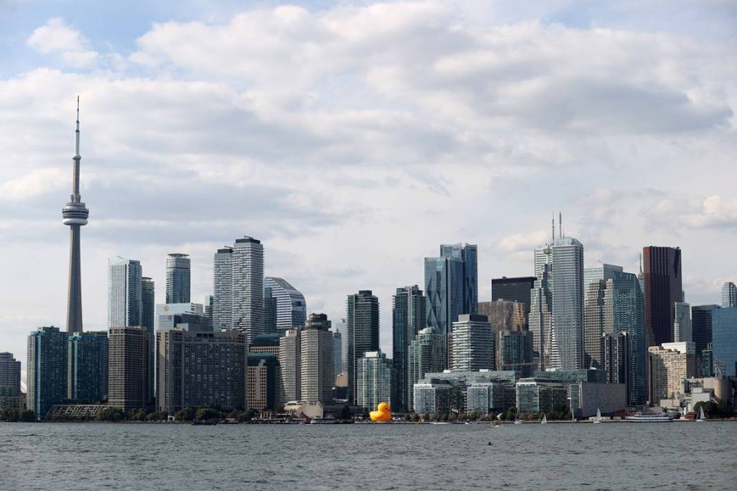 Kente gelen turistler, onu görünce gözlerine inanamadı! Parmakla gösterip endişeyle baktılar 2